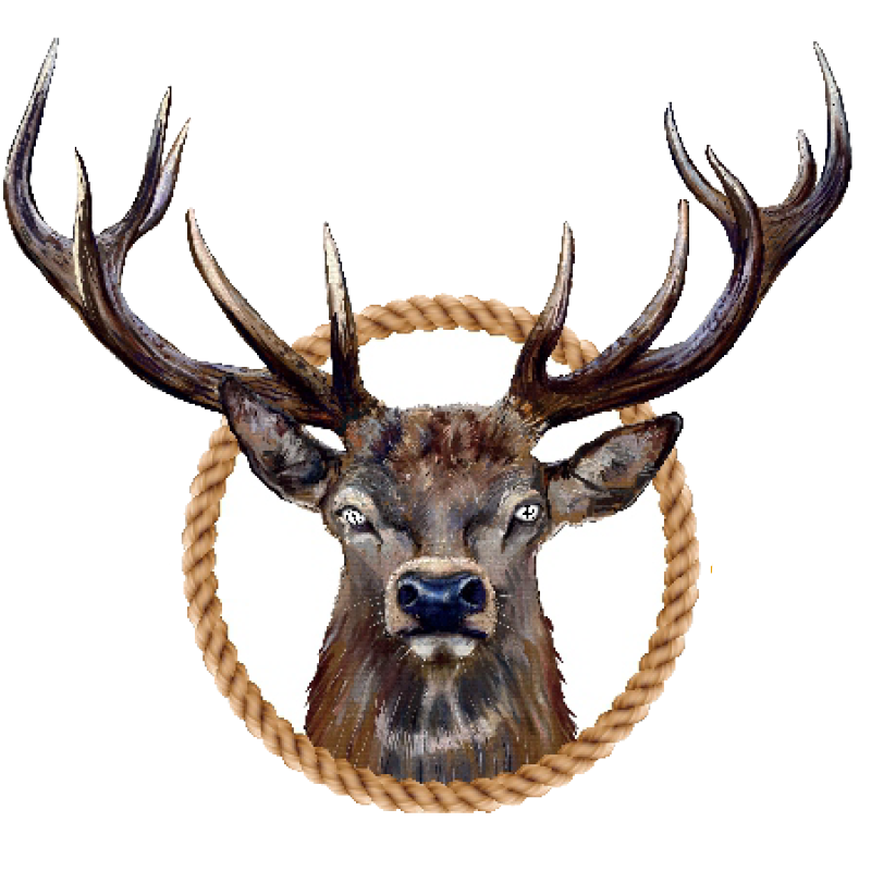 cazadores deer logo decorative deer icon
